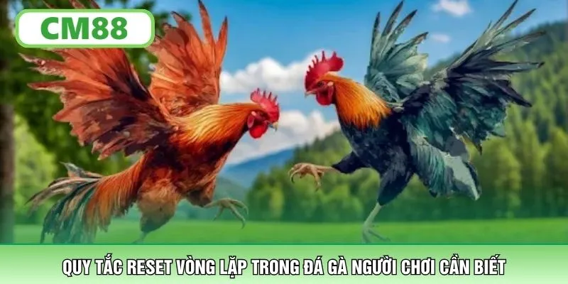Quy tắc reset vòng lặp trong đá gà người chơi cần biết